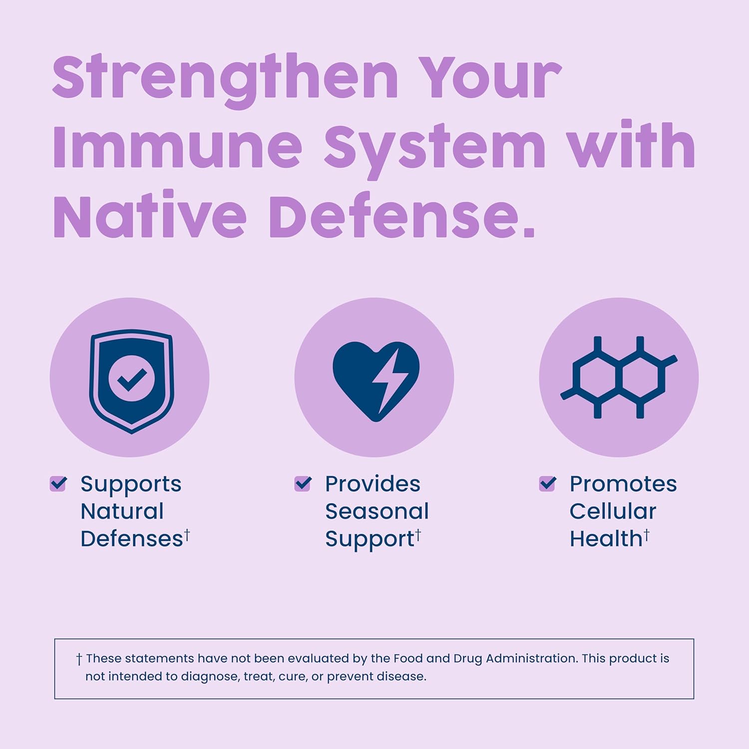 boost-collagen-immune-system-with-nativepath-native-defense-supplement---elderberry-vitamin-c-d-zinc-quercetin-siberian-ginseng---30-day-antioxidant-supply-4