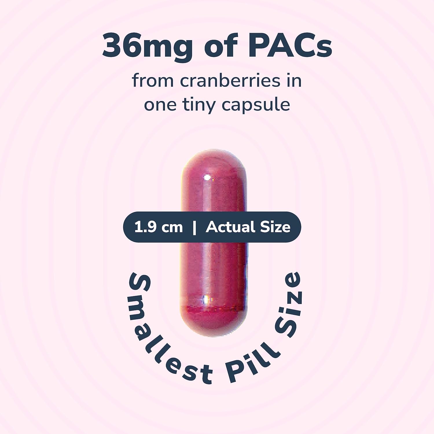 szio-utiva-cranberry-pacs-supplement---36mg-pacs-for-uti-prevention---urinary-tract-health-for-women-and-men---bladder-health-pills-90-capsules-2