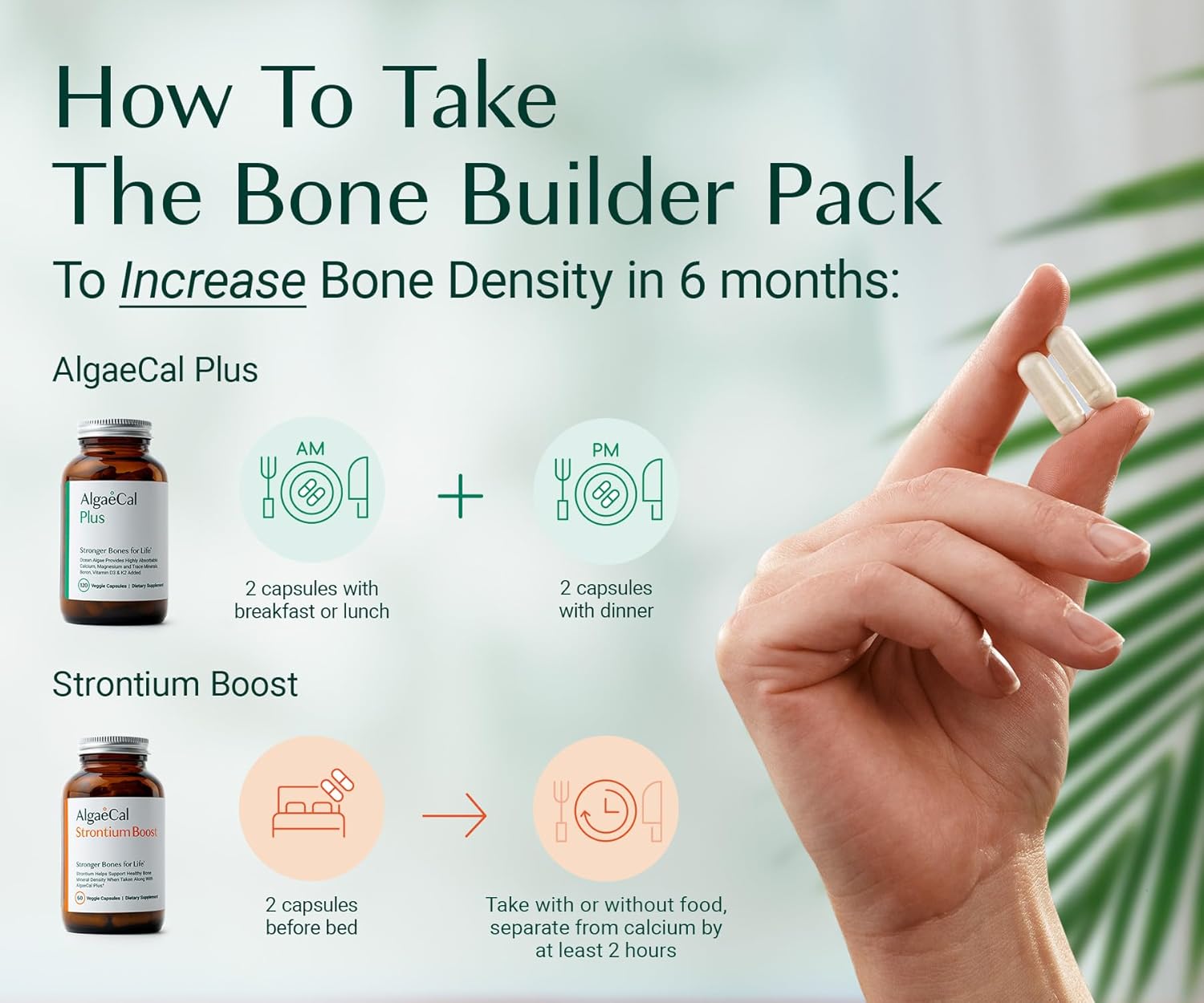 algaecal-bone-builder-pack---plant-based-calcium-strontium-supplement-for-bone-density-vitamins-k2-d3-magnesium-16-essential-nutrients-10