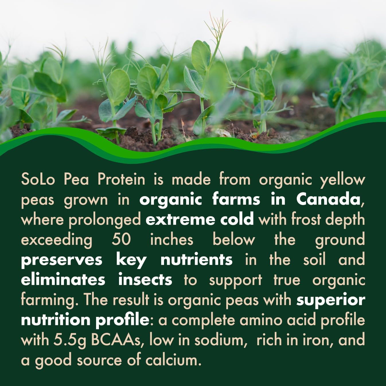 organic-pea-protein-isolate-powder---vegan-non-gmo-keto-paleo-friendly---unflavored-plant-based-protein-with-bcaa---easy-to-digest---low-sodium---no-additives---27-lbs-4