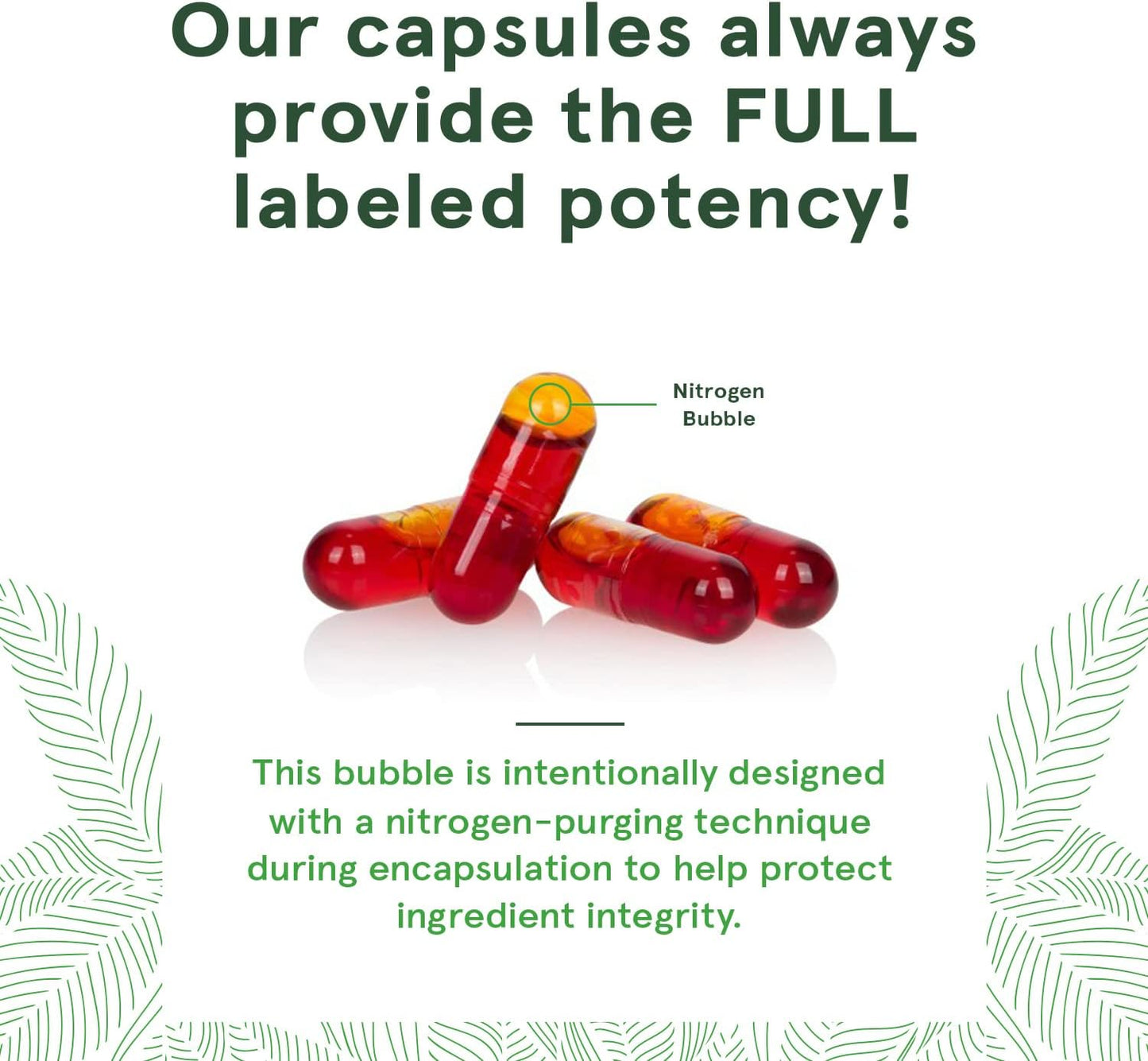 vegan-sea-buckthorn-berry-oil-capsules---500mg-cold-pressed-unrefined-omega-7-90-count-5