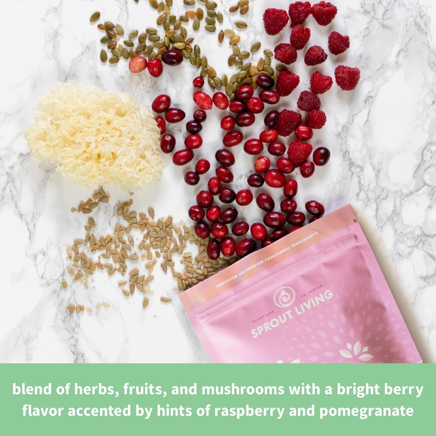 organic-plant-based-protein-powder-with-superfoods---berry-flavor-15g-protein-vegan-non-gmo-gluten-free---07lb-12-servings-6