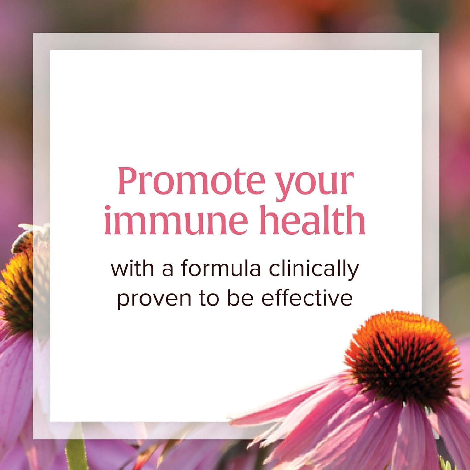 echinamide-echinacea-supplement-60-softgels-for-immune-wellness-support-by-natural-factors-4