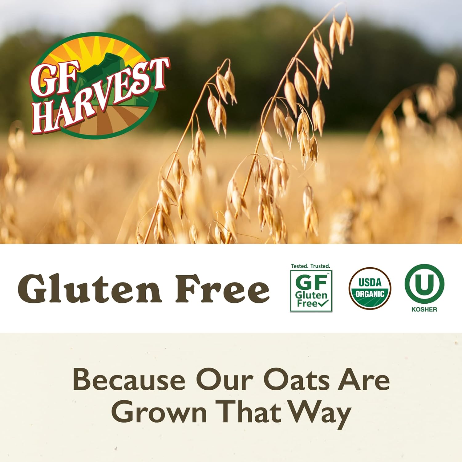 organic-gluten-free-oat-groats-5-pounds-set-of-2-bags---gf-harvest-brand-5