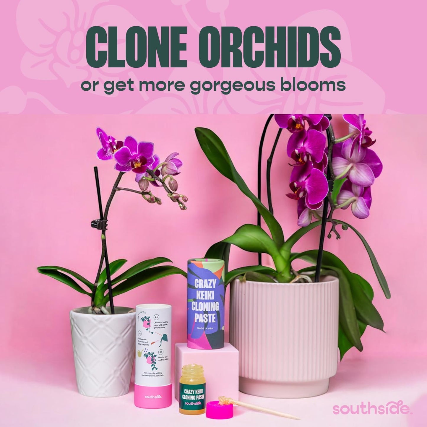 Southside Plants Keiki Cloning Paste - Orchid & Houseplant Growth Booster with Cytokinin, Hormones & Vitamins - 0.25oz - Espot.com.au