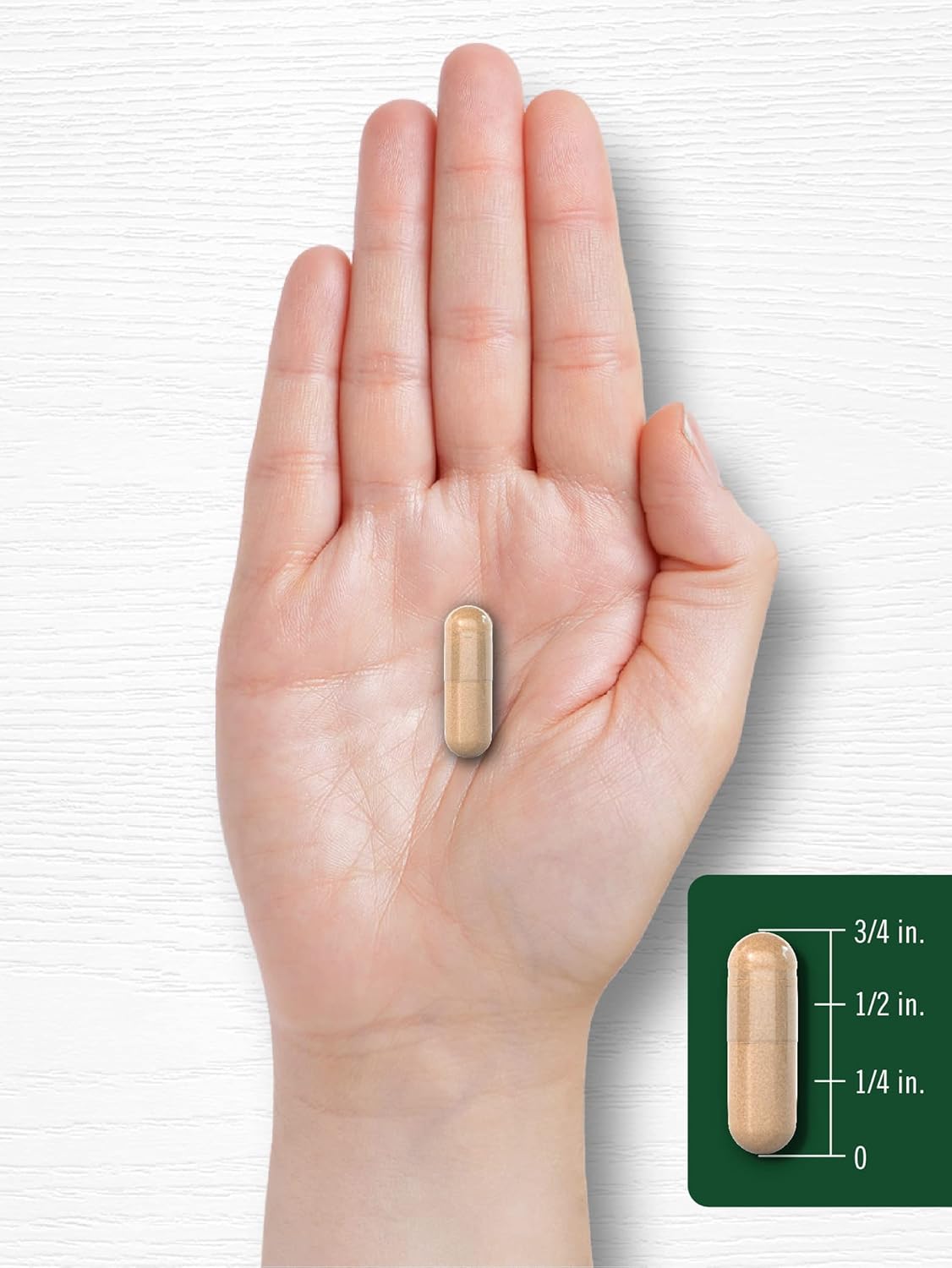 Carlyle Black Walnut Wormwood Herbal Complex Capsules - 120 Count | Non-GMO, Gluten Free - Espot.com.au