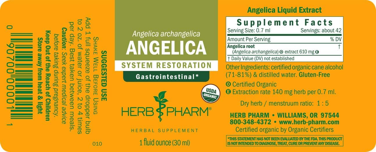 organic-angelica-root-liquid-extract-for-digestive-support---1-fl-oz-pack-of-2-by-herb-pharm-5