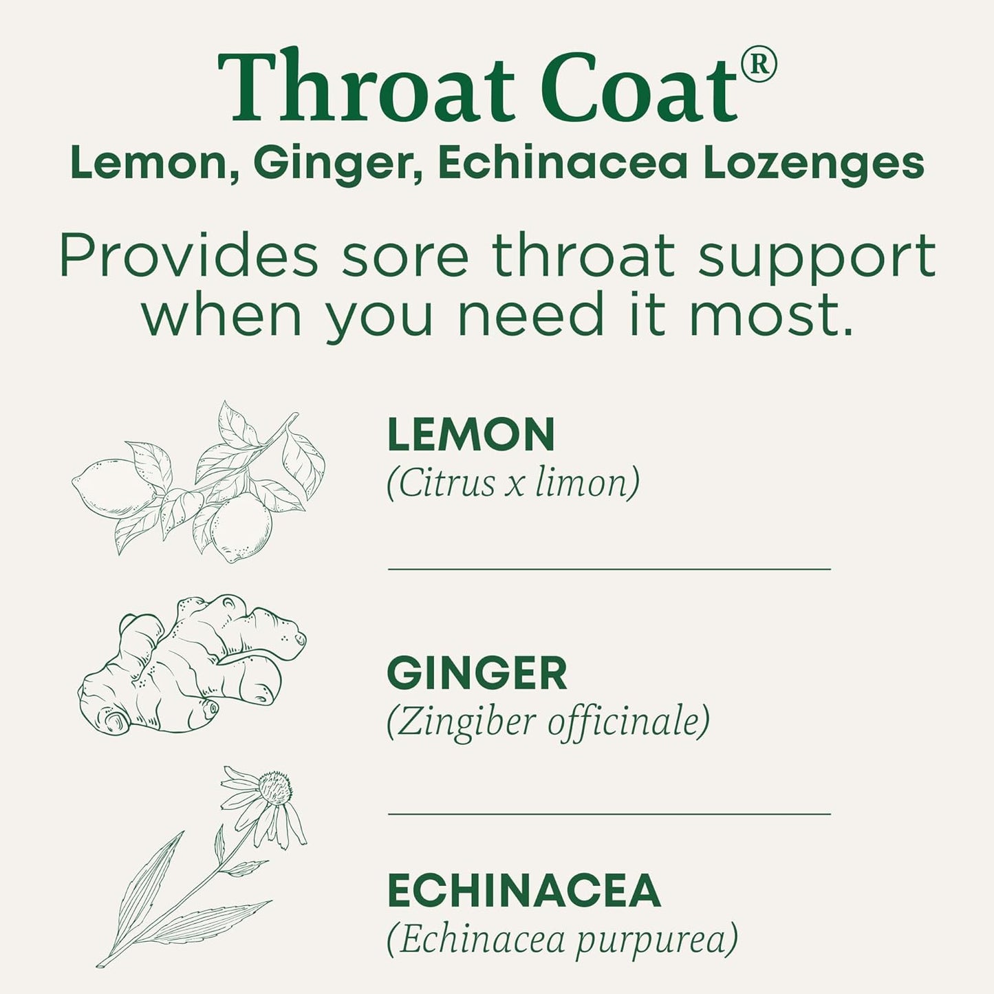 Organic Eucalyptus Mint Cough Drops with Menthol - 30ct - Soothes Sore Throats & Relieves Coughs - Traditional Medicinals Throat Coat - Espot.com.au
