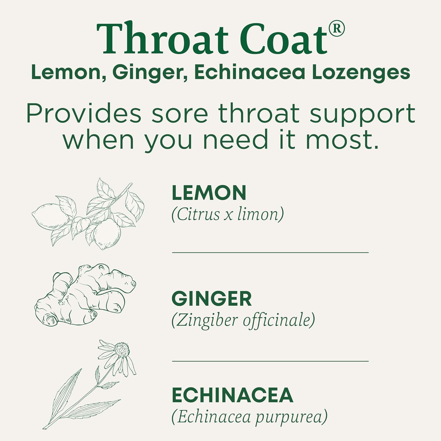 Organic Eucalyptus Mint Cough Drops with Menthol - 30ct - Soothes Sore Throats & Relieves Coughs - Traditional Medicinals Throat Coat - Espot.com.au