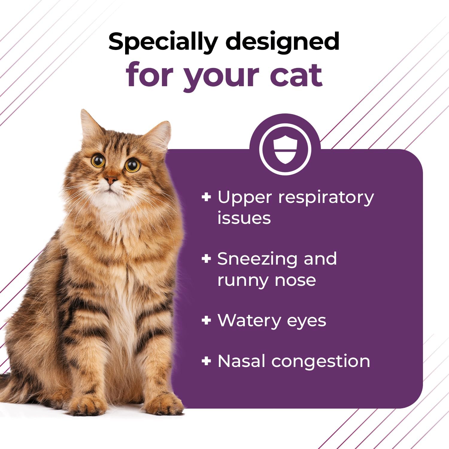 triple-action-cat-lysine-powder-with-scoop-for-immune-respiratory-health---vetriscience-lysine-supplement-for-cats-with-l-lysine-dmg-3