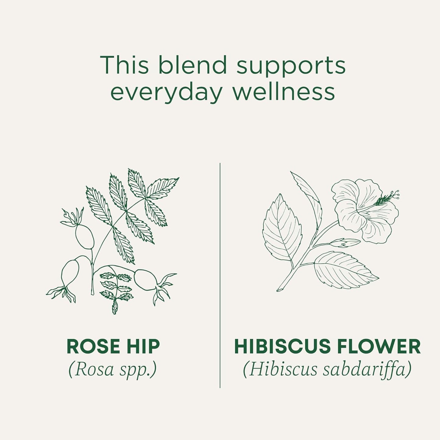 organic-rose-hips-hibiscus-tea-by-traditional-medicinals---16-tea-bags-for-everyday-wellness-3