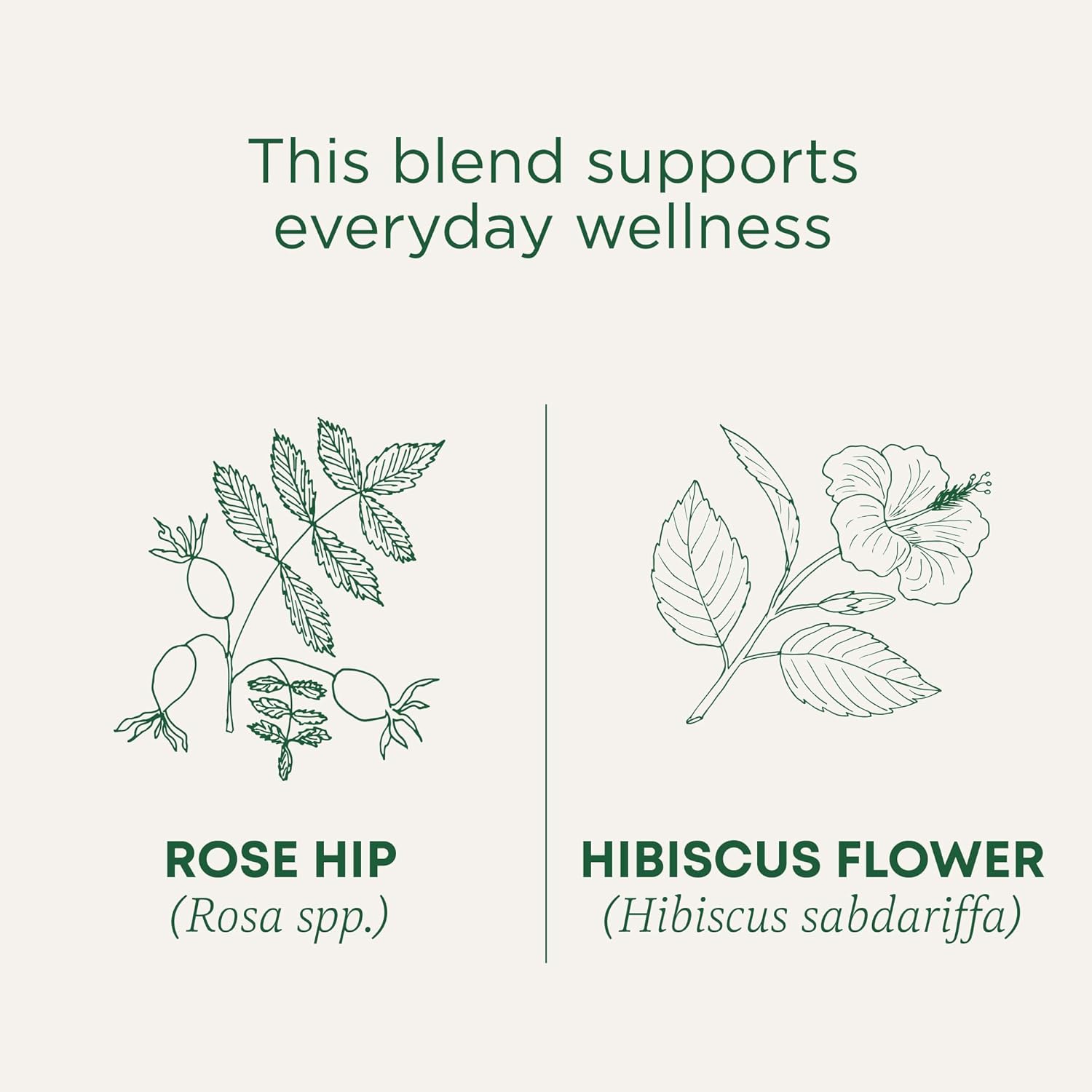 organic-rose-hips-hibiscus-tea-by-traditional-medicinals---16-tea-bags-for-everyday-wellness-3