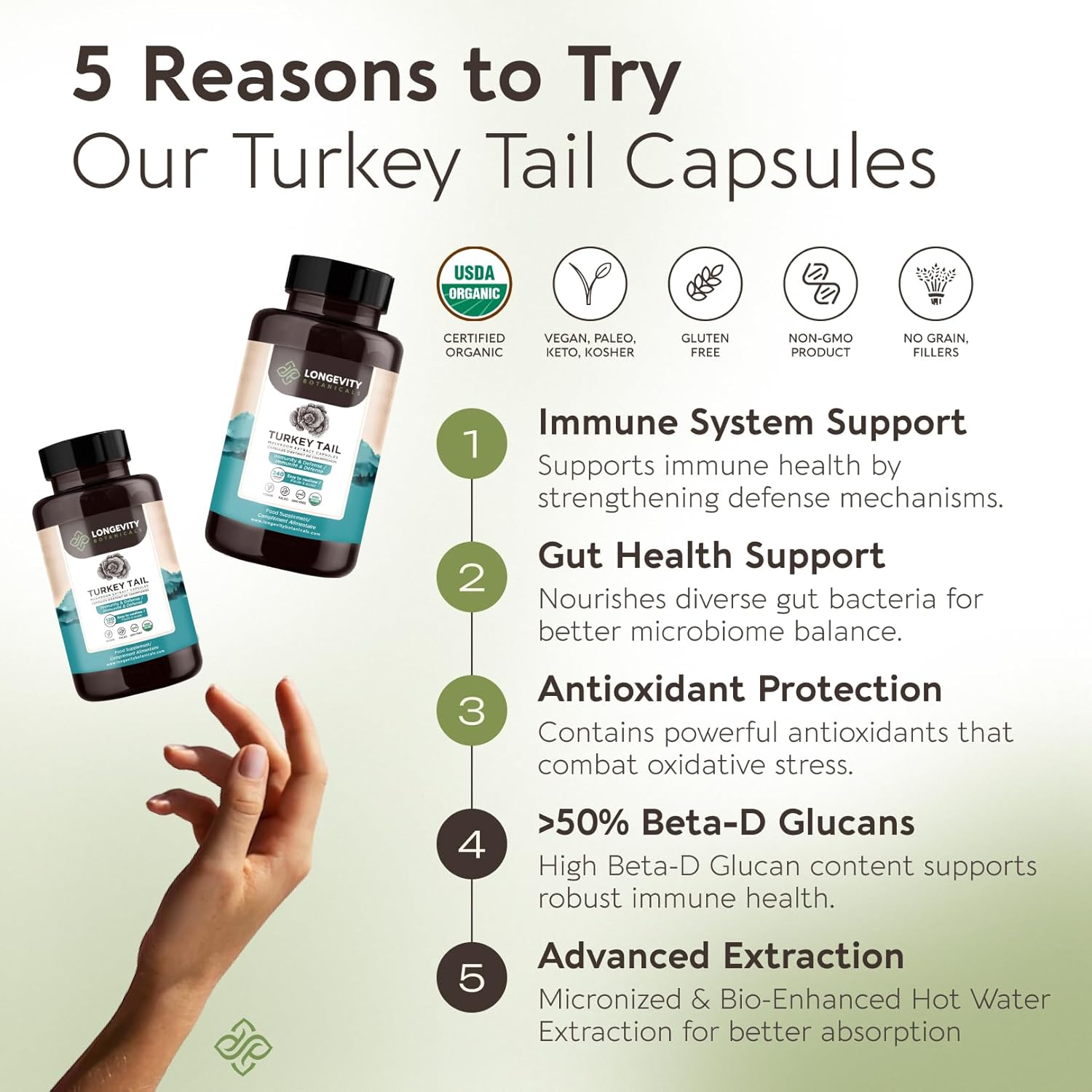 longevity-botanicals-organic-turkey-tail-mushroom-capsules---immune-digestive-support---100-fruiting-body---240-capsules-2