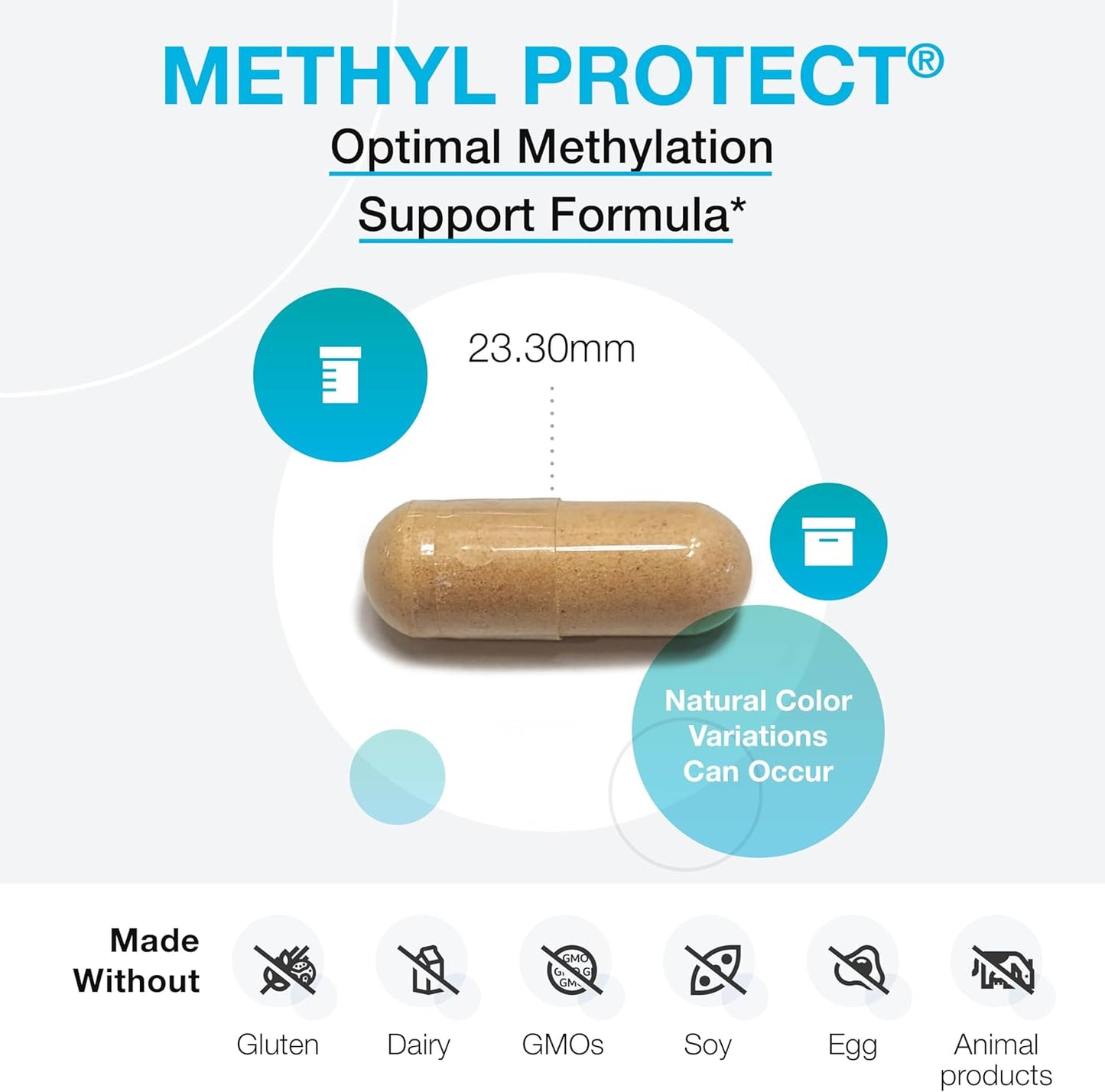 methyl-protect---methylation-formula-with-methyl-folate-vitamin-b12-b6-riboflavin---cognitive-heart-health-supplements-3