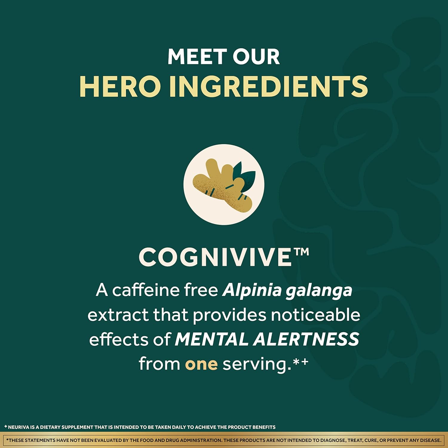 NEURIVA Ultra Decaffeinated Brain Supplement for Mental Alertness, Memory & Focus - Clinically Tested Nootropic with Cognivive, Neurofactor, Phosphatidylserine, Vitamins B6 & B12 - 14ct Capsules - Espot.com.au