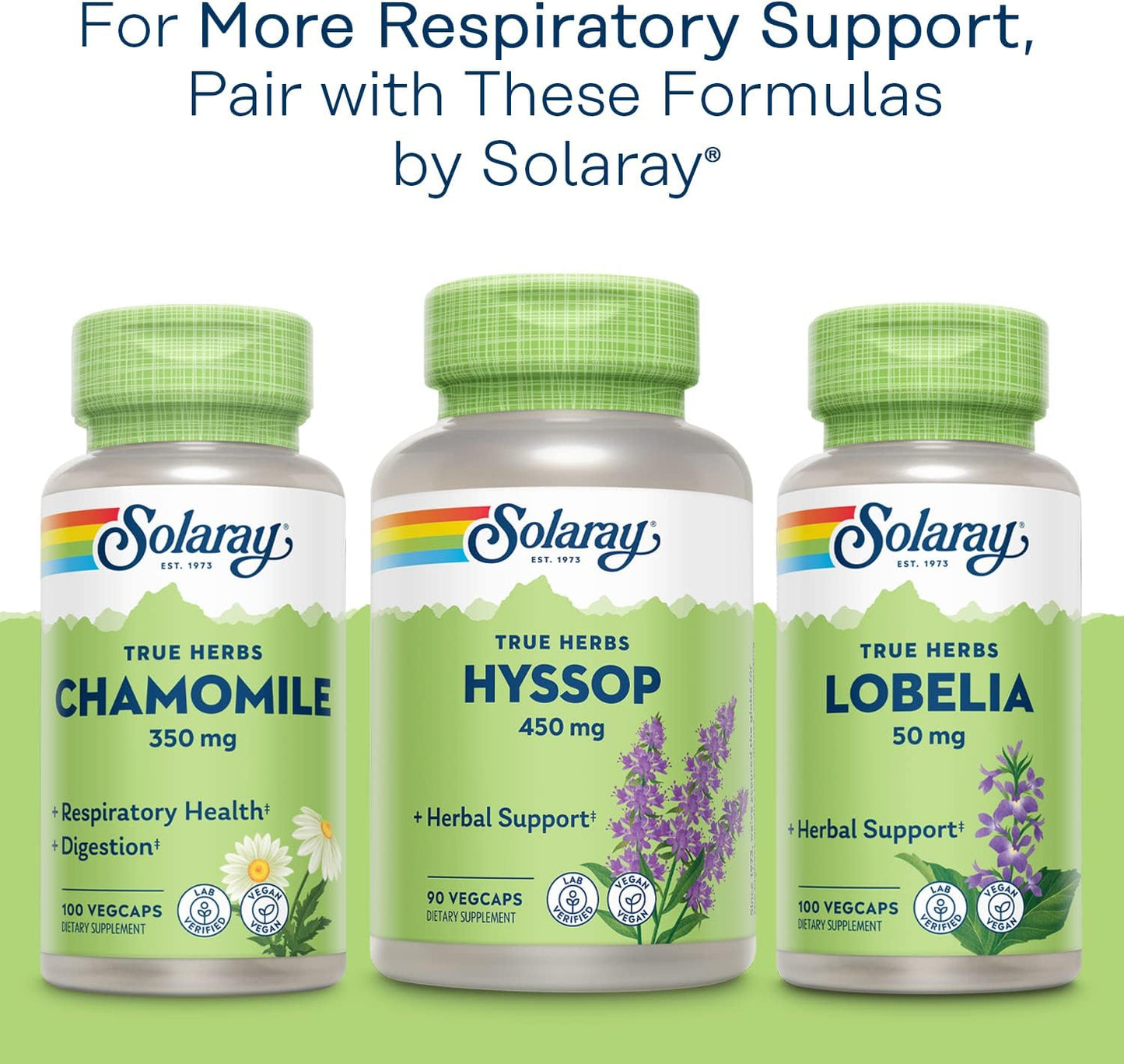 solaray-mullein-leaf-capsules---herbal-respiratory-support-660mg-vegan-200-vegcaps-100-servings-6