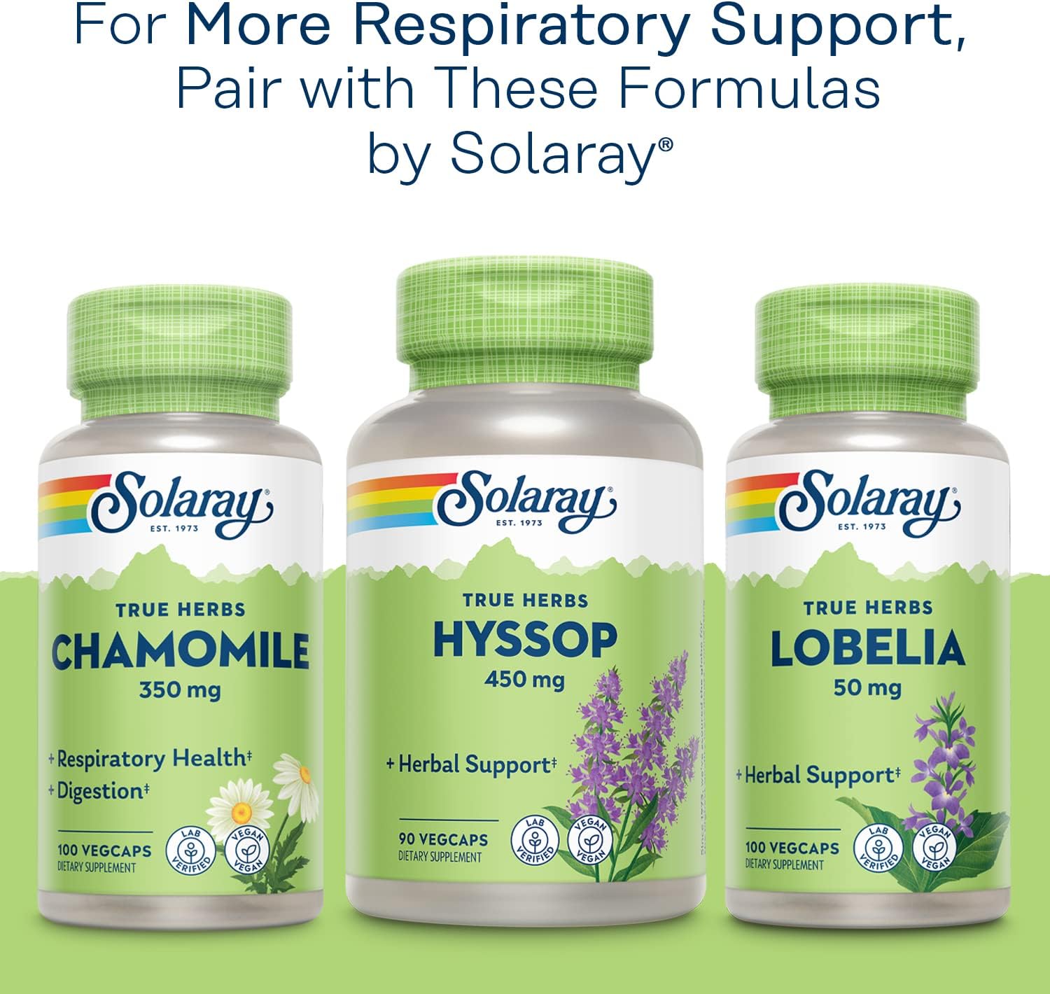 solaray-mullein-leaf-capsules---herbal-respiratory-support-660mg-vegan-200-vegcaps-100-servings-6