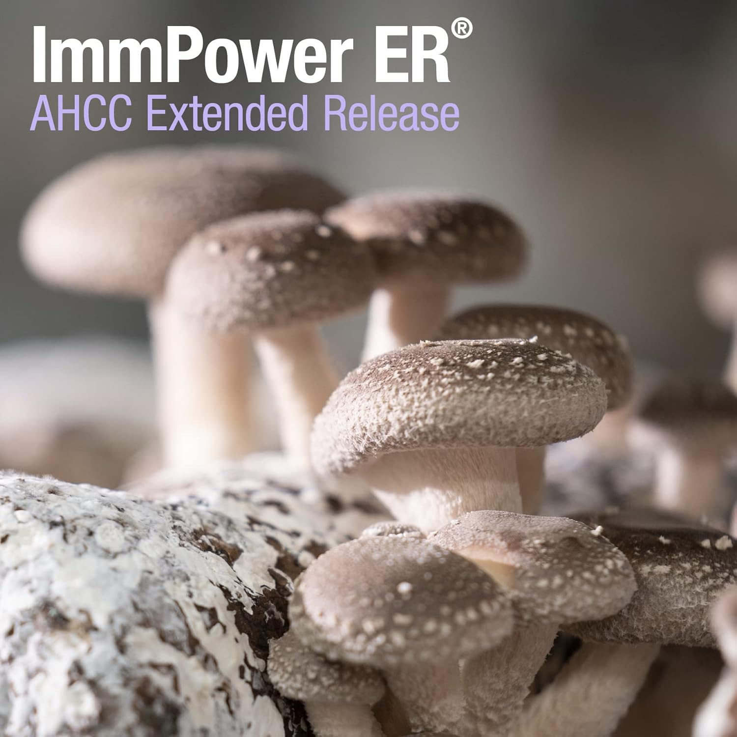 ImmPower ER AHCC Mushroom Supplement - 60 Capsules, 500mg - Immune Support Formula - American BioSciences - Espot.com.au