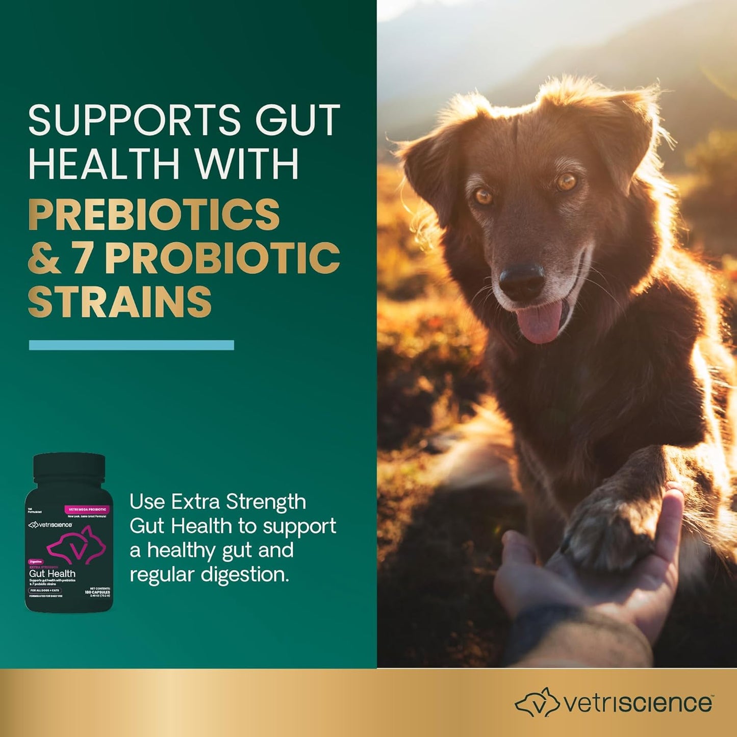 extra-strength-digestive-supplement-for-dogs-cats---probiotic-prebiotic-capsules-for-gut-health-gas-diarrhea-immune-support---180-count-75-billion-cfu-per-capsule-5