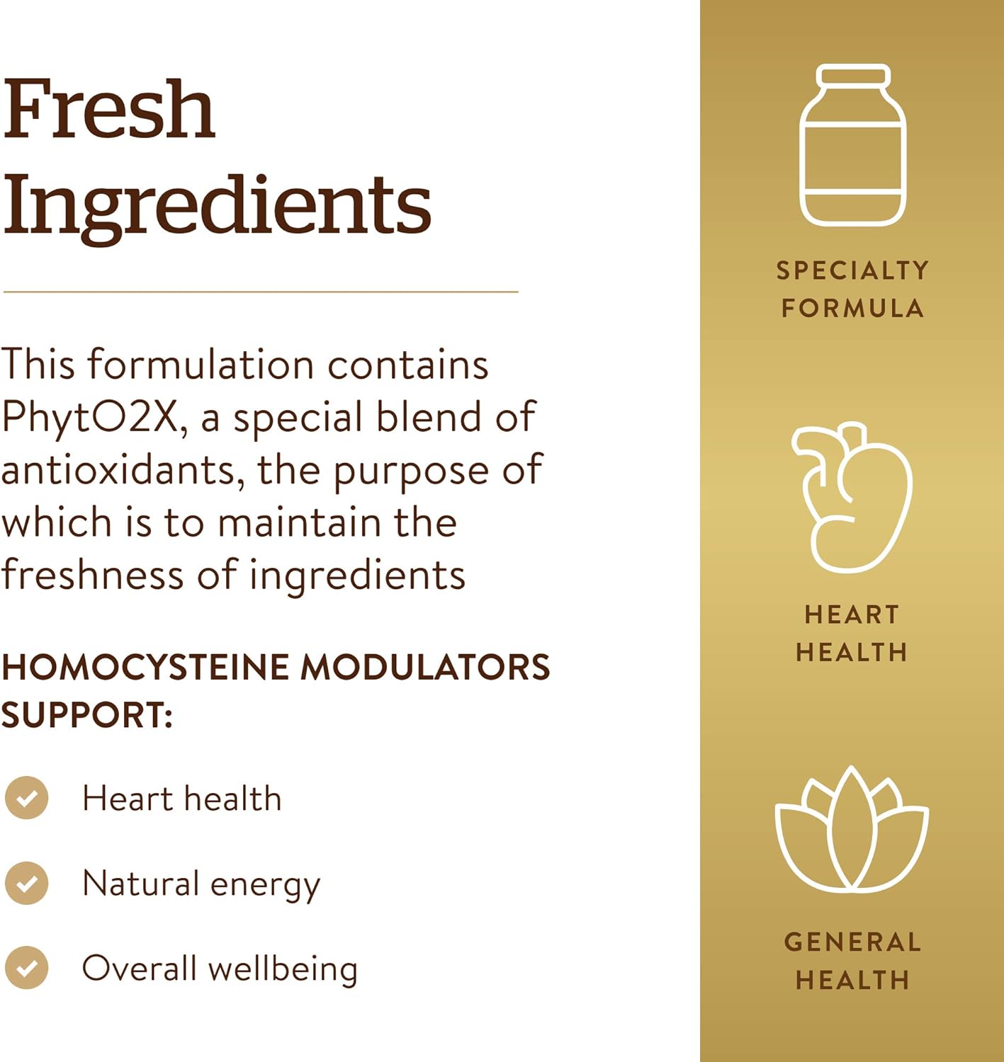 solgar-homocysteine-modulators-120-vegetable-capsules---supports-cardiovascular-health-and-methylation-process-4