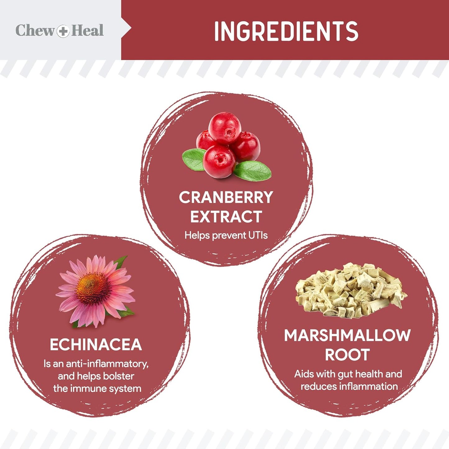 chew-heal-labs-cranberry-uti-treatment-soft-chews-for-dogs---240-count---supports-urinary-tract-health---with-echinacea-vitamin-c-2