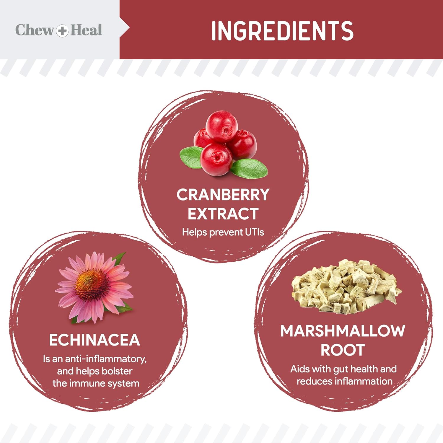 chew-heal-labs-cranberry-uti-treatment-soft-chews-for-dogs---240-count---supports-urinary-tract-health---with-echinacea-vitamin-c-2