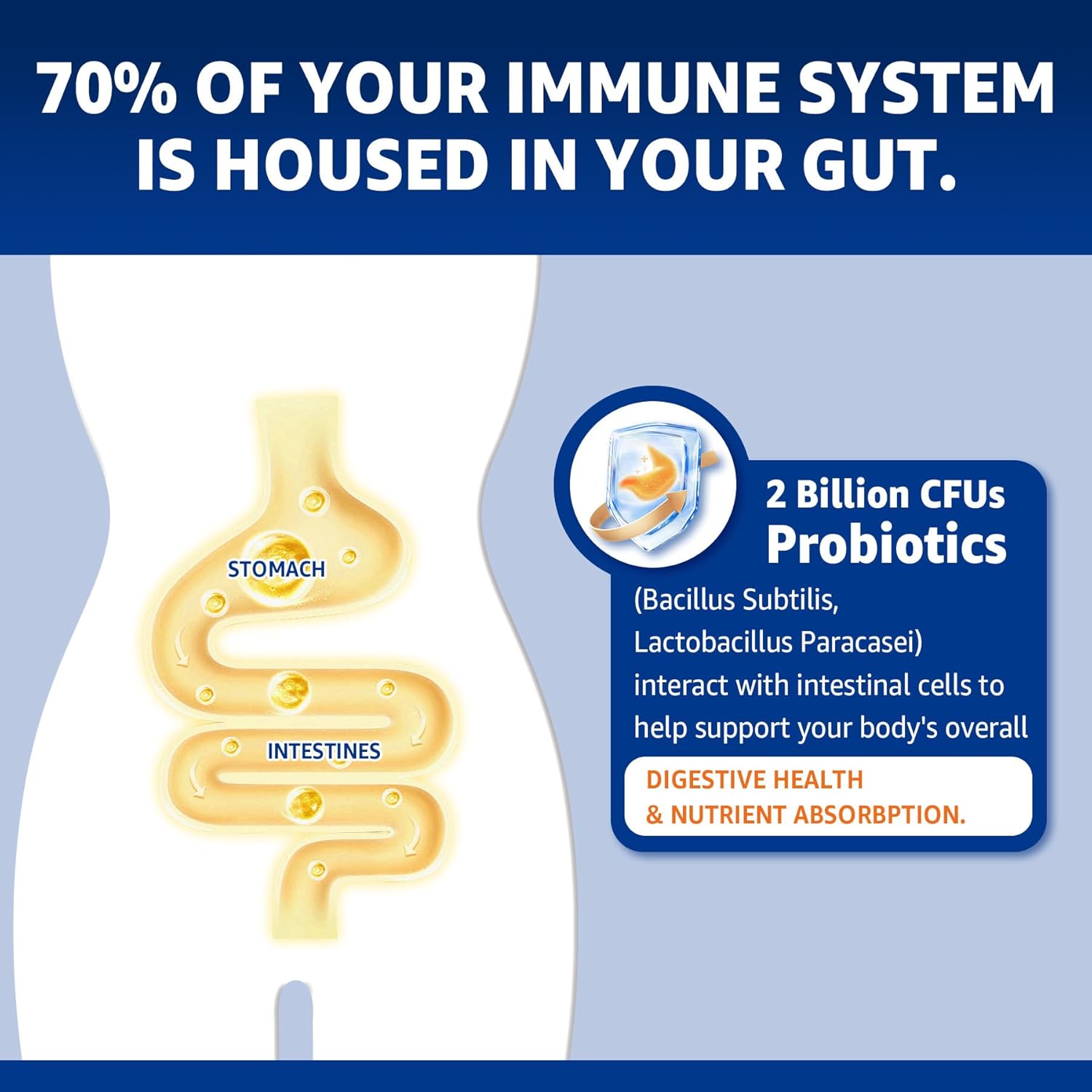 vegan-zinc-gummies-with-copper-probiotics-and-vitamin-b6-for-immunity-gut-health---non-gmo-120-ct-6