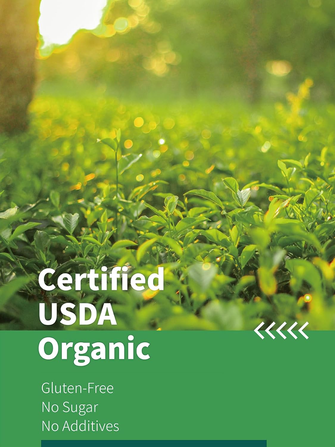 usda-organic-decaf-green-tea-bags---120-count-fresh-smooth-taste-unsweetened---hyntmyt-organic-3