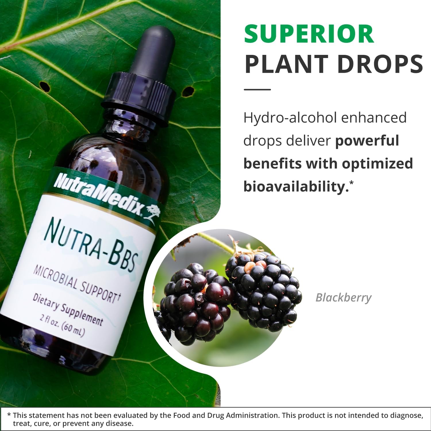 nutramedix-nutra-bbs---herbal-supplement-for-digestive-immune-support---elecampane-root-blackberry-leaves-extract---gut-health-immunity-booster---60ml-5