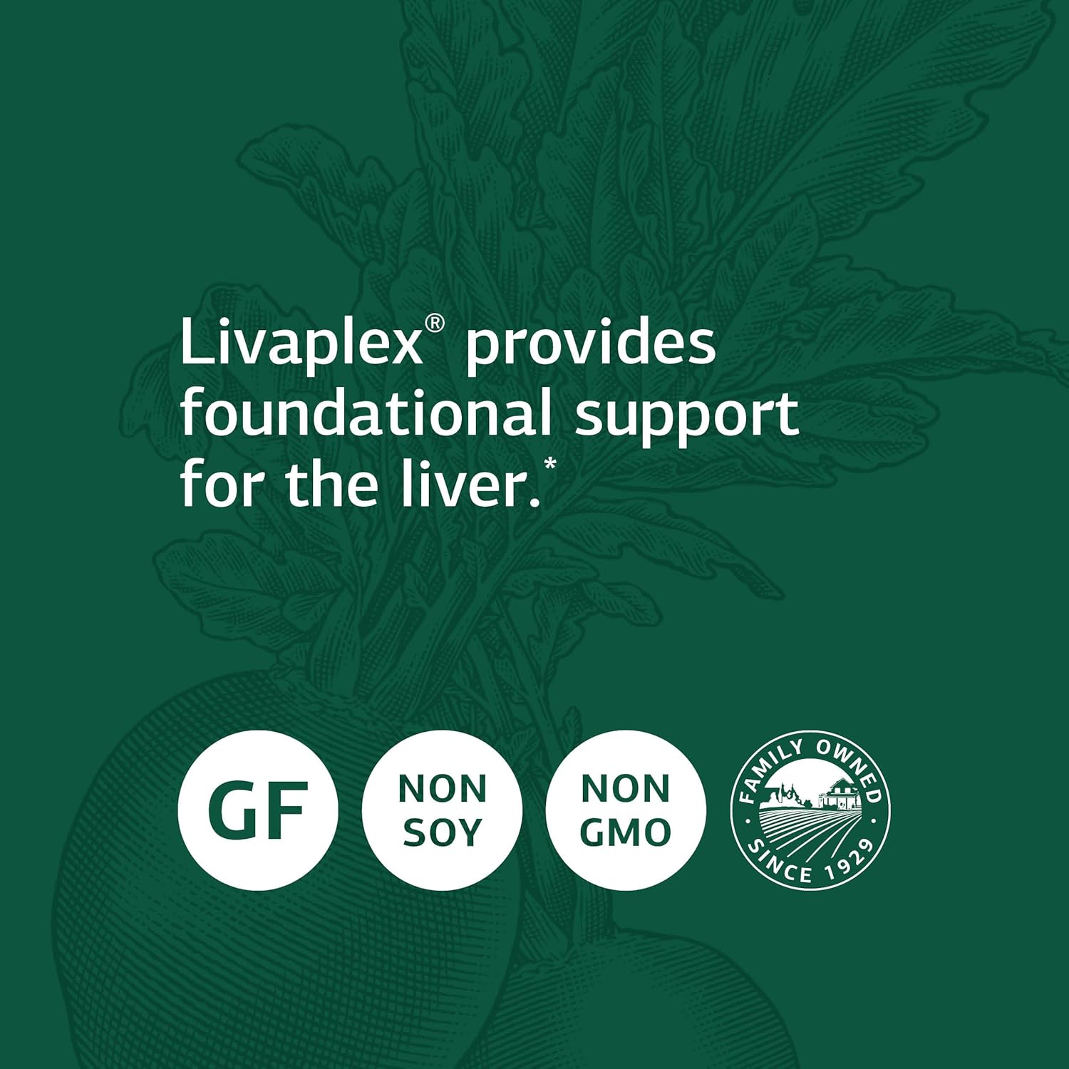 standard-process-livaplex---whole-food-supplement-for-digestive-health-liver-gallbladder-support---90-capsules-4