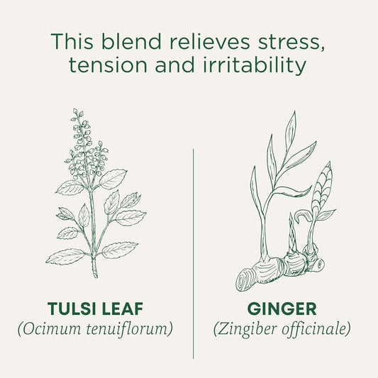 organic-tulsi-ginger-herbal-tea---2-packs-of-16-tea-bags-by-traditional-medicinals-1