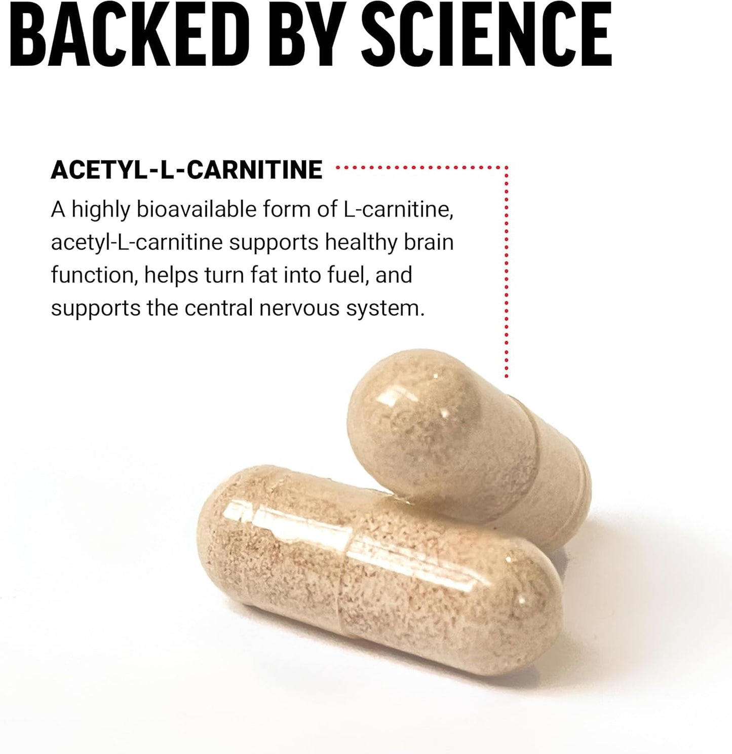 premium-quality-acetyl-l-carnitine-brain-supplement---500mg-nerve-support-cellular-energy-booster---vegan-non-gmo---100-veg-capsules-3