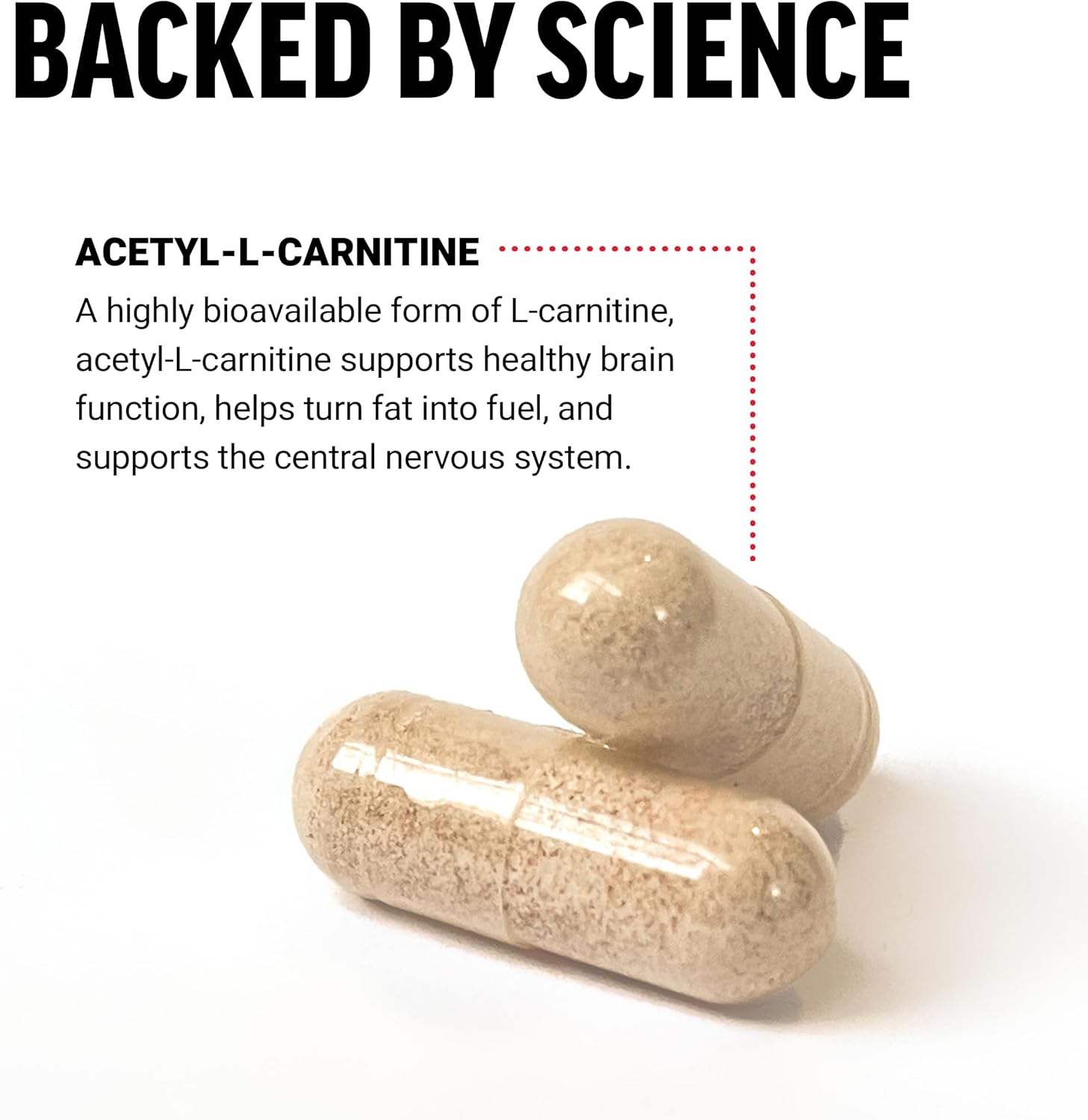 premium-quality-acetyl-l-carnitine-brain-supplement---500mg-nerve-support-cellular-energy-booster---vegan-non-gmo---100-veg-capsules-3