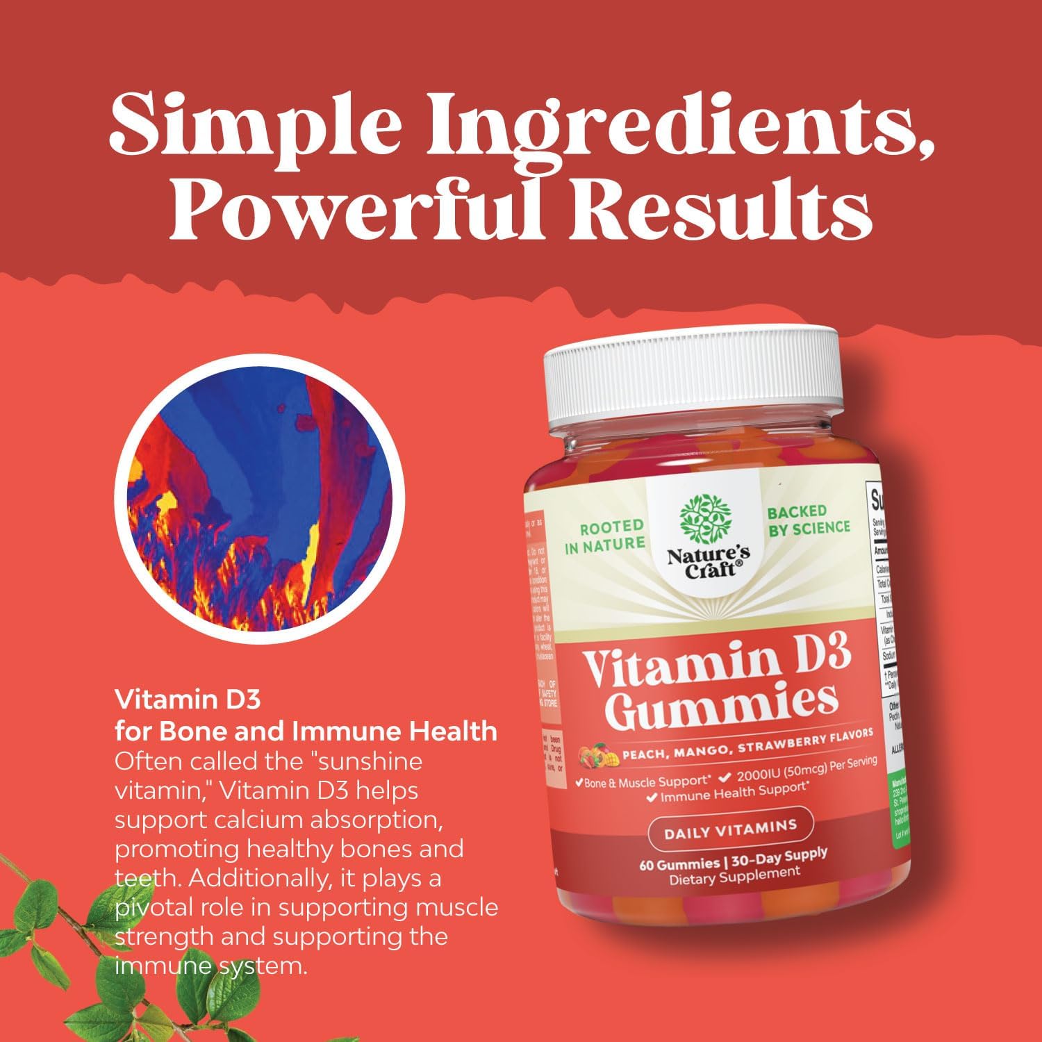 Vitamin D3 and Multivitamin Gummies Bundle for Daily Wellness, Bone & Muscle Support, Energy, and Immunity - Delicious Women's Daily Supplement - Espot.com.au
