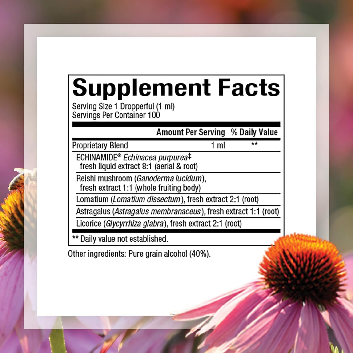 organic-echinacea-supplement-for-immune-support---anti-v-liquid-formula-by-natural-factors-non-gmo-100-servings-34-oz-2