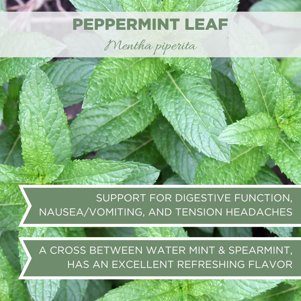 usda-certified-organic-peppermint-leaves-tea---4-oz-113g-loose-leaf---elanen-naturals-dried-mint-tea-bulk---cut-sifted-mint-6