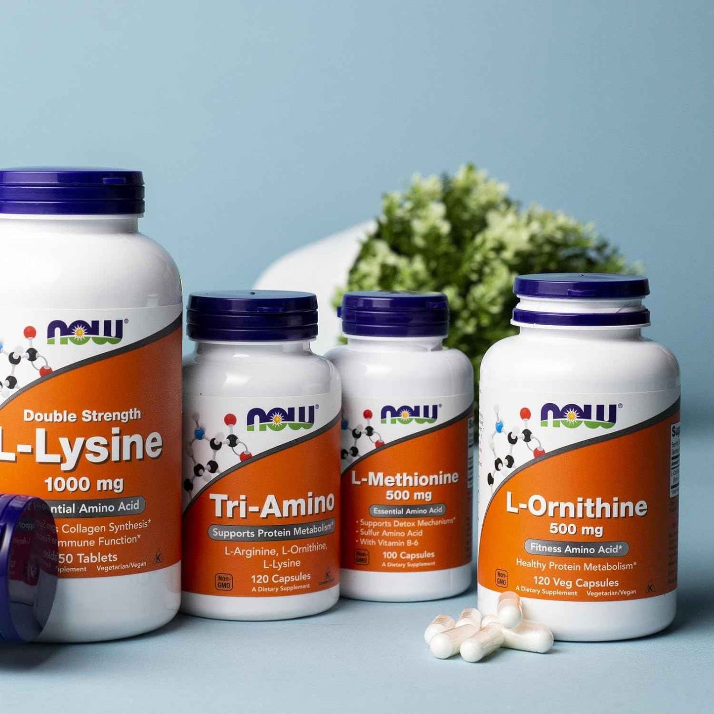 NOW Foods L-Ornithine Hydrochloride 500mg Amino Acid Supplement - 120 Veg Capsules