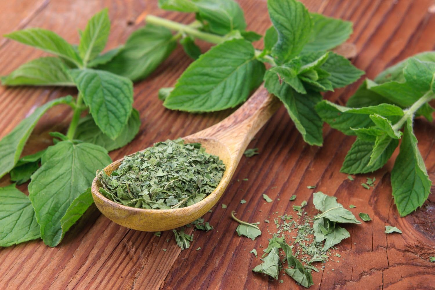 organic-loose-leaf-dried-mint-for-cooking---premium-spearmint-leaves-from-palestine---200g-dry-mint-herb-for-culinary-use-4