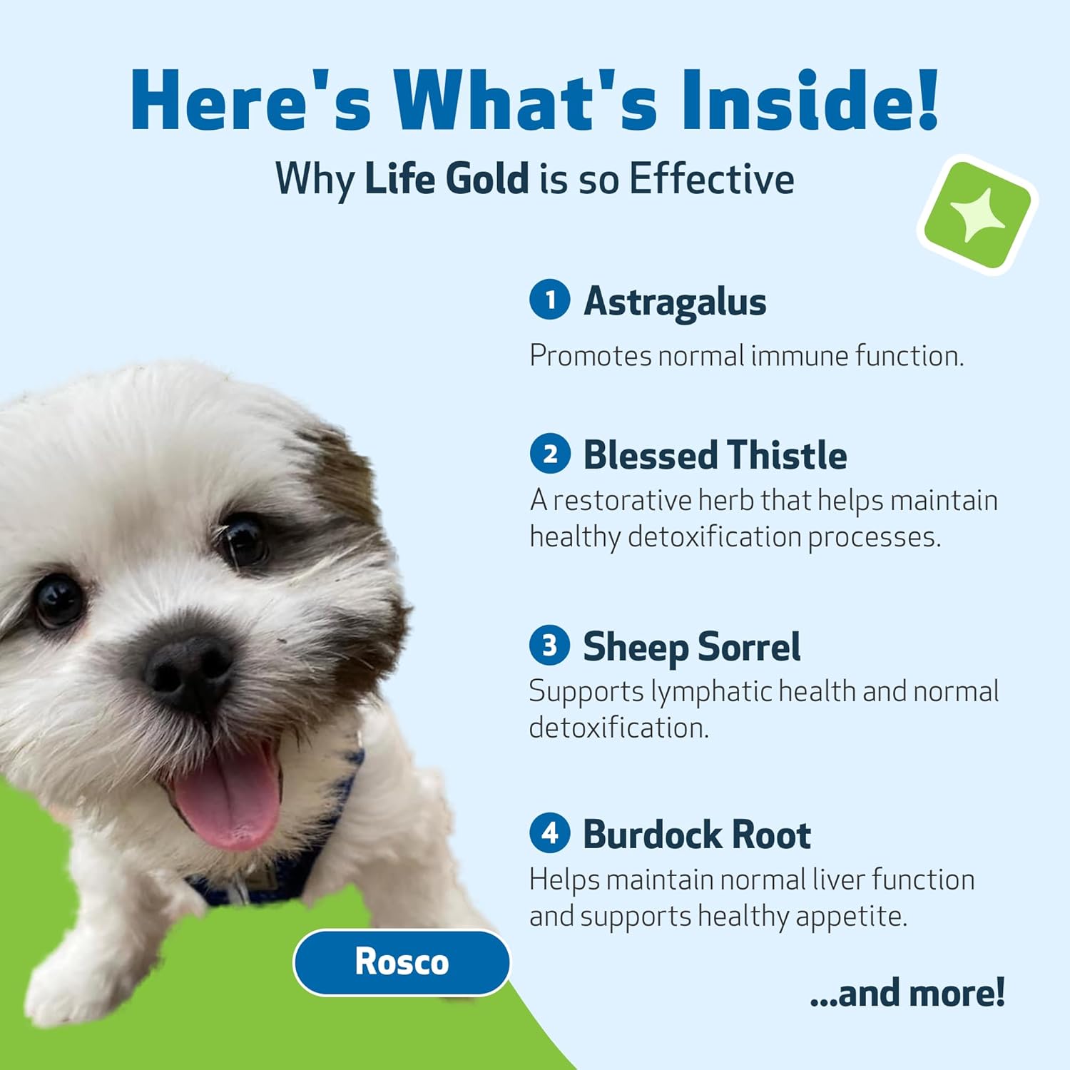 vet-formulated-pet-wellbeing-life-gold-for-dogs---natural-herbal-supplement-for-immune-support-and-antioxidant-protection---2-oz-6