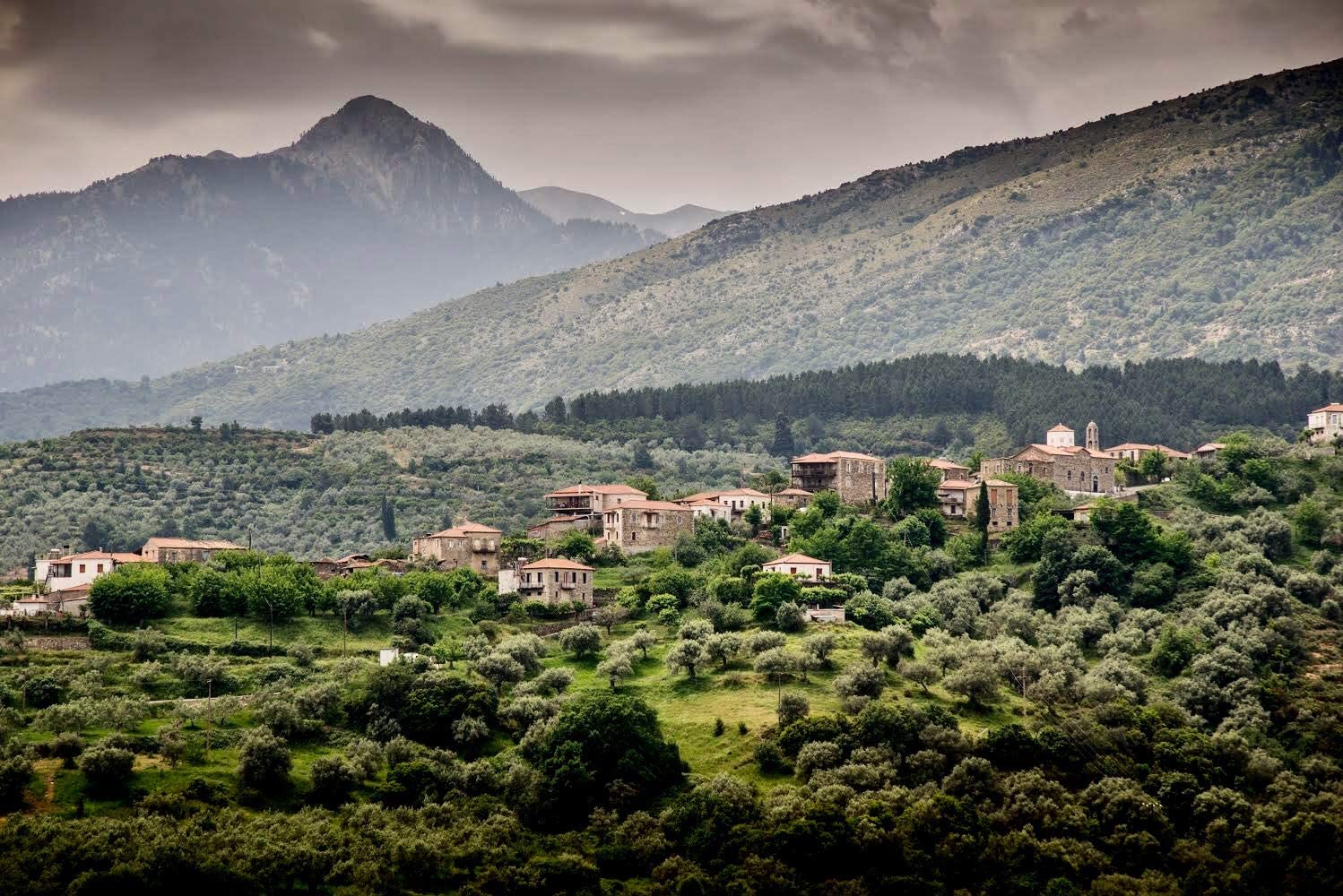 greek-keros-ancient-foods-organic-extra-virgin-olive-oil---3l-cold-pressed-high-phenolic-oil-from-1000-year-old-trees-in-greece-5