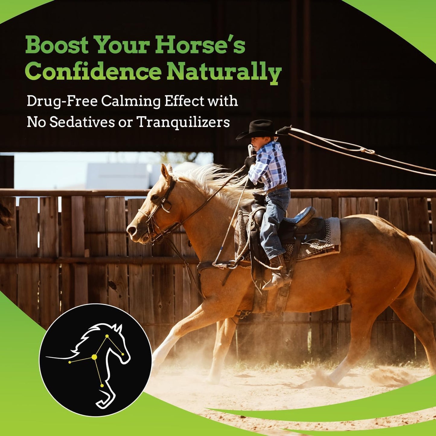 synnutra-equine-synchill-af-calming-gel---single-serving---advanced-formula-with-l-theanine---100-natural-supplement-for-nervous-horses---3-pack-5