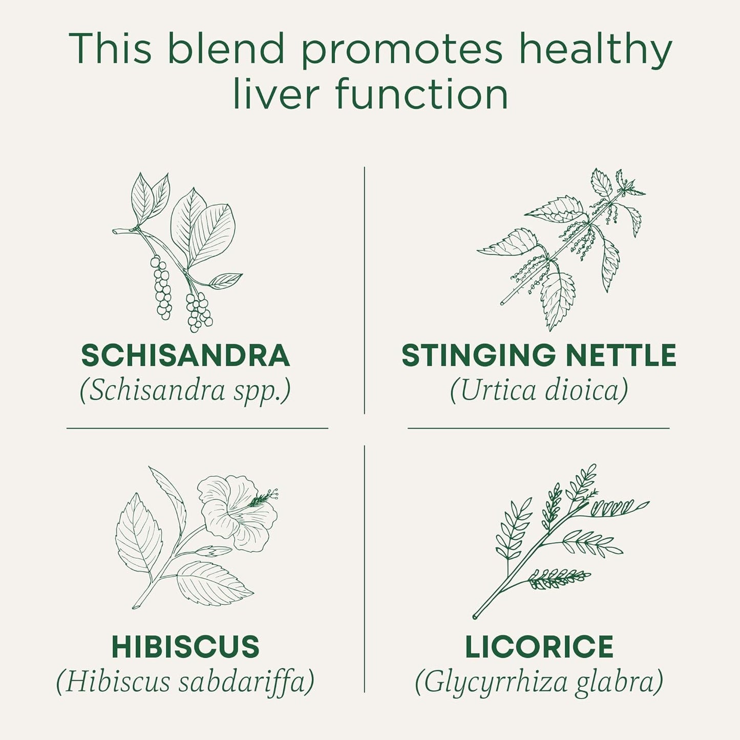 organic-everyday-detox-tea-with-schisandra-berry---supports-liver-health-96-tea-bags-6-pack-by-traditional-medicinals-2