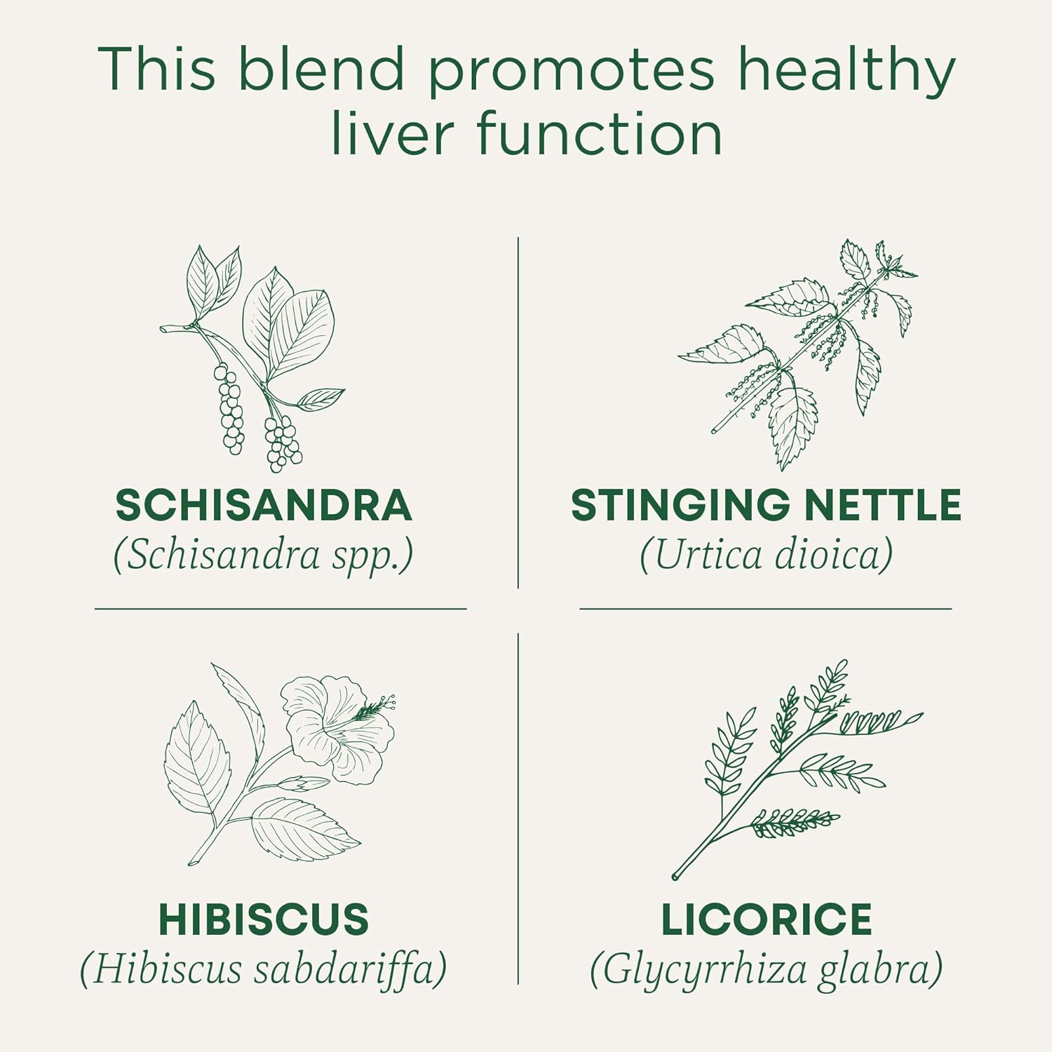 organic-everyday-detox-tea-with-schisandra-berry---supports-liver-health-96-tea-bags-6-pack-by-traditional-medicinals-2