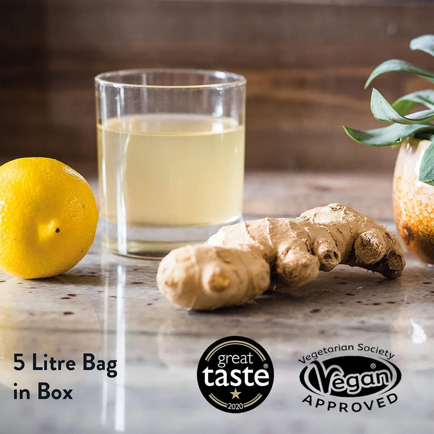 organic-apple-cider-vinegar-with-mother-for-detox-and-gut-health---probiotics-included-by-willy-4