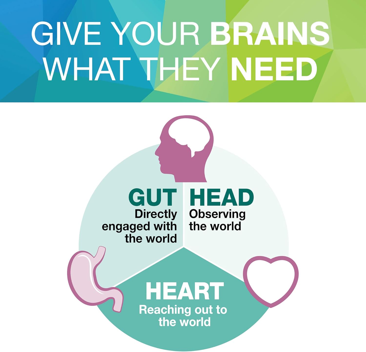 3-brains-total-kit-by-natural-factors---30-single-serve-packs-30-servings-7