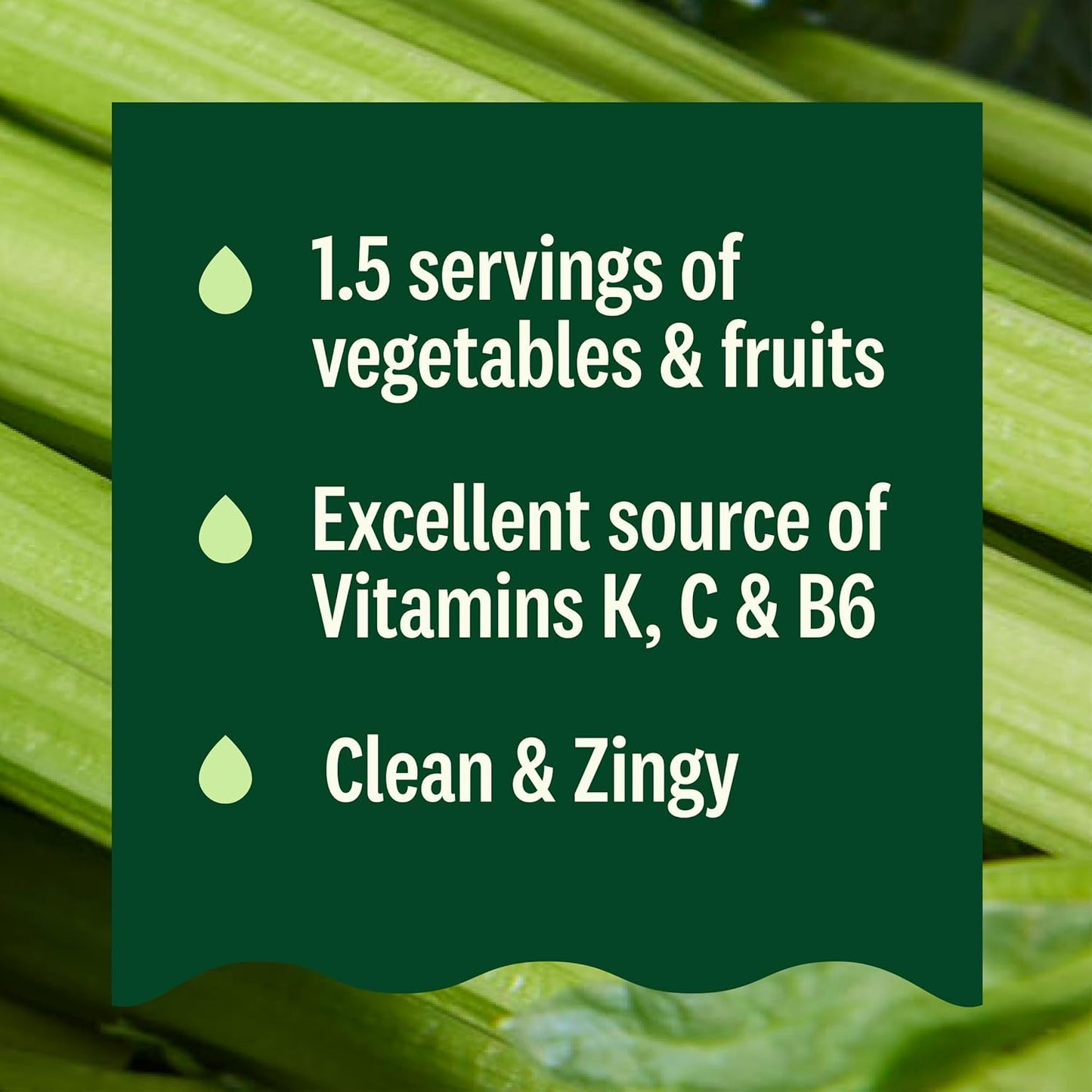 organic-cold-pressed-celery-juice-by-suja---12-fl-oz-bottle-7