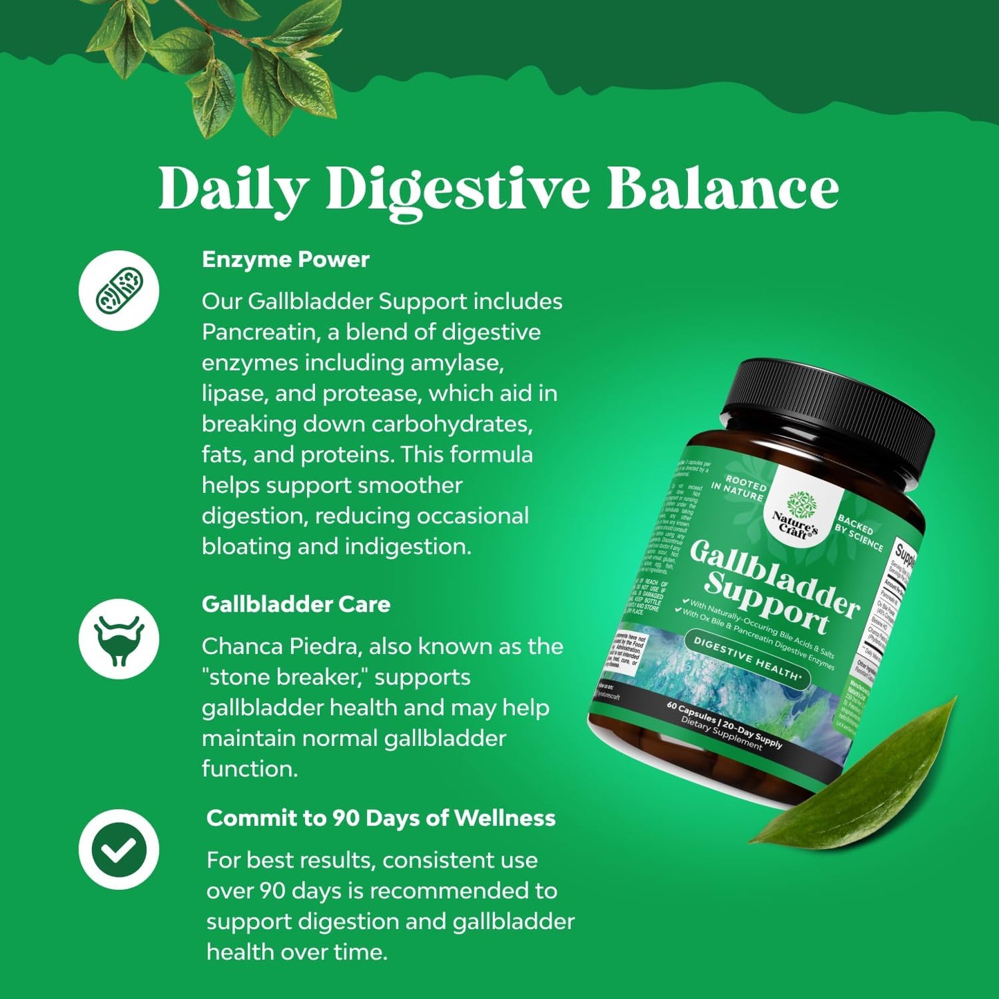 purified-ox-bile-salts-supplement-with-pancreatin-betaine-hcl---digestive-enzymes-for-gallbladder-support-and-health---2-month-supply-2