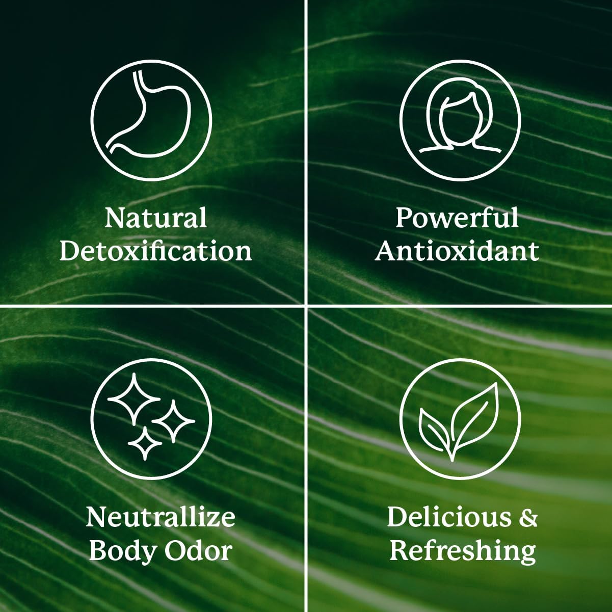 natures-sunshine-chlorophyll-stick-packs---detox-gut-health-boost---spearmint-flavor---convenient-delicious-5
