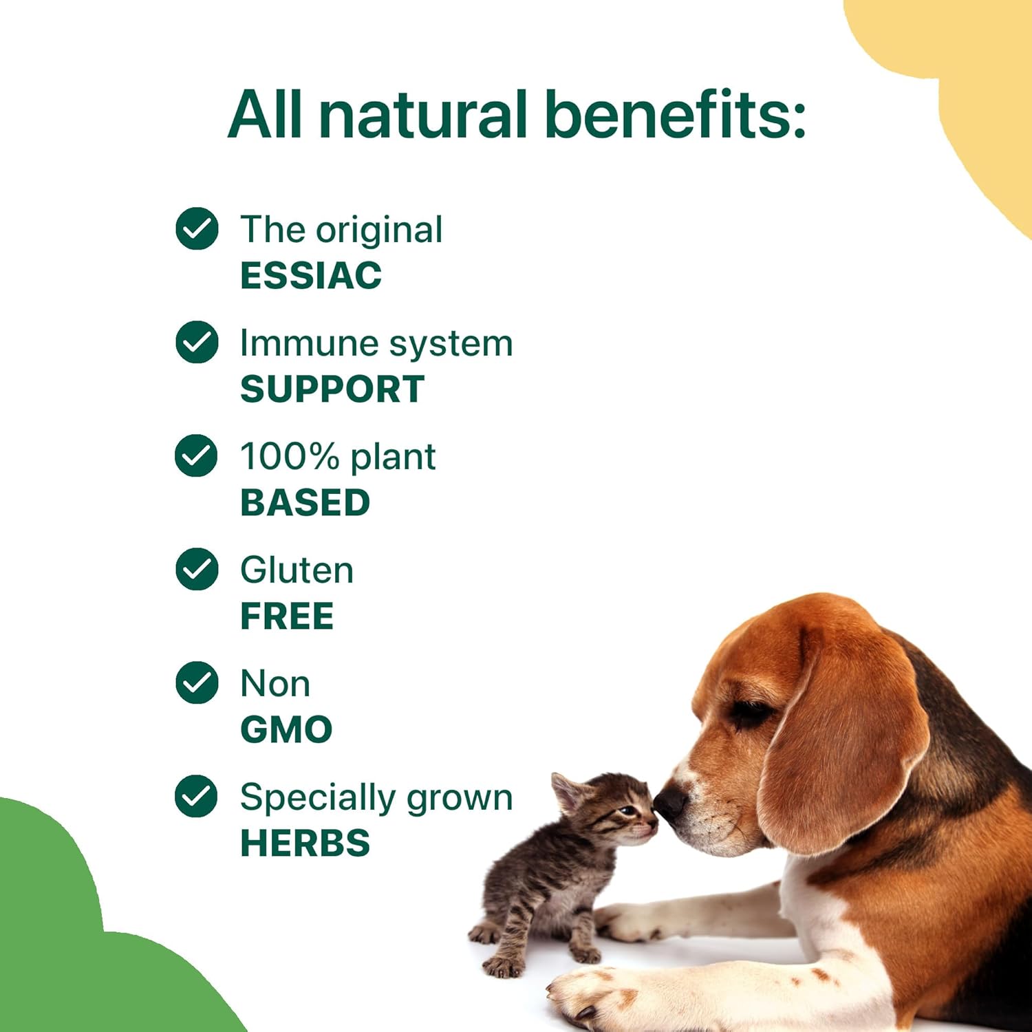 essiac-international-herbal-supplement-for-pets---natural-support-for-your-furry-friends-60-capsules-4