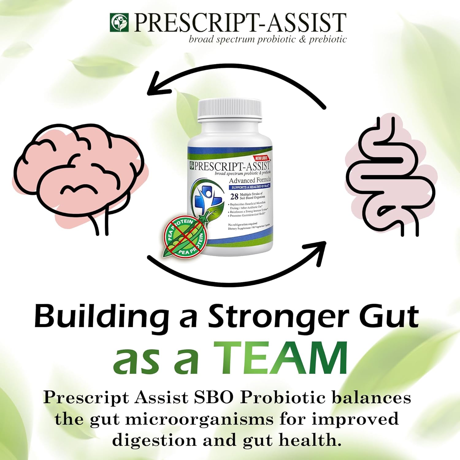 advanced-vegan-prebiotics-probiotics-for-digestive-immune-health---plant-based-formula-without-pea-protein-for-fast-absorption---supports-muscle-recovery-gut-health---90-capsules-4